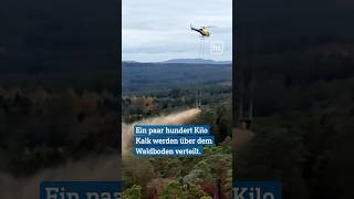 Hubschrauber wirft Kalk über Bäumen ab im Kampf gegen das Waldsterben. #waldsterben #burgwald