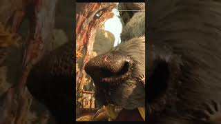 KRATOS NEW PET - god of war ragnarok #shorts #gowragnarok