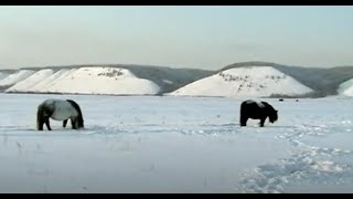 Времена года в Якутии