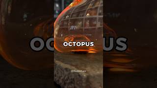 A Guy Walks Into A Bar With An Octopus Under His Arm