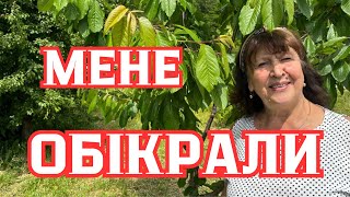 Наталя Фаліон/Лісапетний батальйон/Мене обікрали