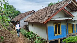 Menikmati Sejuknya Pagi di Pedesaan, Suasana Pedesaan Jawa Barat