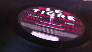 Vinyl - Le Tigre