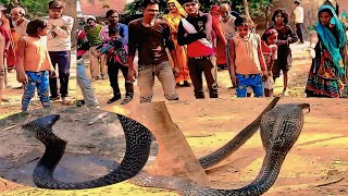 गांव के लोगों में मच गया कोहराम/ऐसा मंजर बहुत कम देखने को मिलताहै#cobrasnakerescueindia#animalsvideo