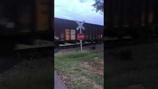 Csx