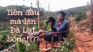 #27| LÊN ĐÀ LẠT MUA ĐẤT - XÂY NHÀ - LÀM VƯỜN - 1 TỶ VNĐ ĐỦ HAY THIẾU???