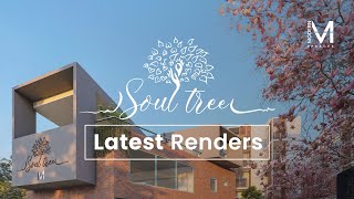 Soul Tree by Modern Spaaces | An Update