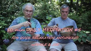 Daily 10 min Meditation w/Emile & Joe #5~Use Daily for Grounding and Heart Healing! templesounds.net