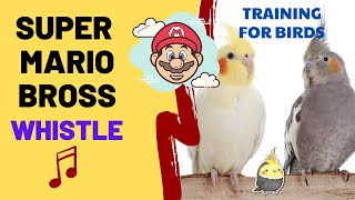 SUPER MARIO with WHISTLE - Cockatiel Singing Training - Bird Whistling