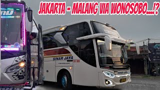 Mantap Unit Sinar Jaya Malang Buat Jalan Wonosobo‼️