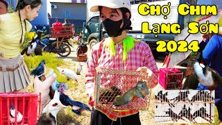 Em Gái Bản Địa Mang Chú Sóc Con Đi Bán Tại Chợ Chim Chào Mào Lạng Sơn