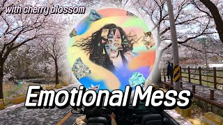 Emotional Mess,  Amy Lynn, with cherry blossom