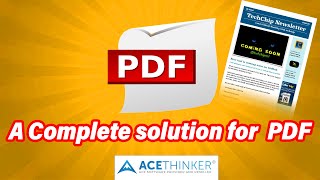 AcePDF editor: Batch Convert PDF Files to Various Formats with Ease