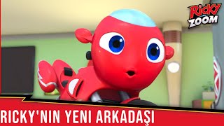 ⚡️Ricky Zoom Türkçe⚡️| Ricky'nin Yeni Arkadaşı | Çizgi Filmleri Çocuklar Için | @rickyzoomturkce