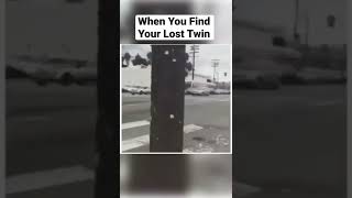 When You Find Your Lost Twin. #funny #fun #amazing #shorts #best #funnyvideo #dog #dogs