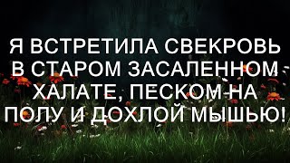 Я встретила свекровь в старом засаленном халате, с песком на полу и дохлой мышью!  || Тристен Сант