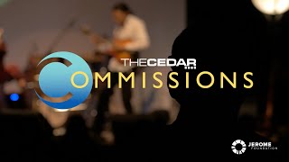 Call for Artists: The 2020-21 Cedar Commissions