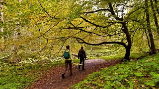 Durch tiefe Schluchten im Südschwarzwald - Wutachschlucht, Gauchachschlucht und Engeschlucht