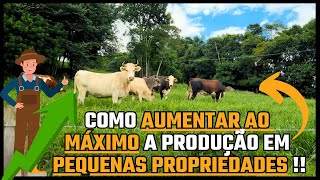 COMO AUMENTAR A PRODUÇÃO AO MÁXIMO EM PEQUENAS PROPRIEDADES !!