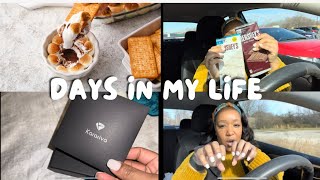 Viral SMORES DIP, Last Min  CHRISTMAS Shopping , How  my meal plan is going+ EARLY CHRISTMAS GIFT