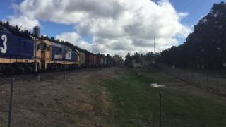 Triple 81s work 8138 through Orange on the Manildra Container serivce