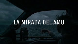 LA MIRADA DEL AMO - LAS PELOTAS | LETRA