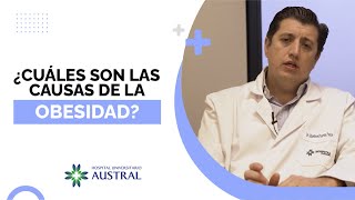 Conocé las 5 causas de la obesidad