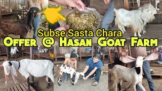 Hyderabadi Sasta Collection @ Hasan Goat Farm Charminar Murgi Chowk Hyderabad