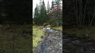 Zakopane. Kużnice. Tatry. Wejście do Tatrzańskego Parku.