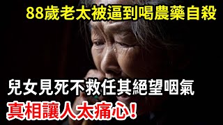 【人世間】88歲老人被兒女逼到喝農藥自殺，兒女見死不救眼睜睜的看其絕望咽氣，更是直接將遺體拉去火化，安葬之後誰也不願理睬！