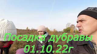 Посадка дубравы // 01.10.22г.