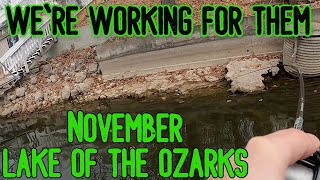 Tough November Bass | Lake of the Ozarks