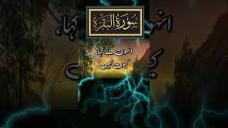 Surah Baqarah urdu translation beautfull voice