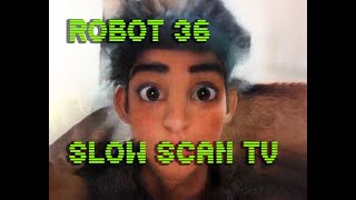 0102 Toonify SSTV Robot36