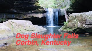 What to expect @ Dog Slaughter Falls, Corbin Kentucky