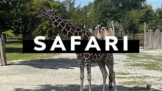 Wycieczka do Dvůr Králové Zoo / SAFARIBUS