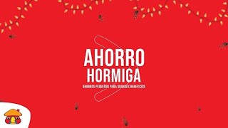 Marco Agüero, ¿Qué es ahorro hormiga?