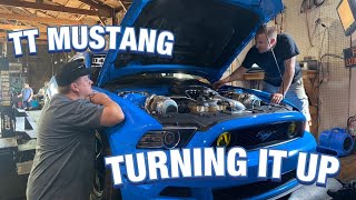 TWIN TURBO MUSTANG TURNS UP THE BOOST... installing TURBOSMART EBC with DYNO RESULTS!