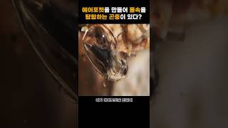 바다보다 3배 높은 염도의 호수에서 살아남는 법