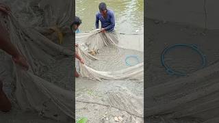 Fishing the forest and lake in the early morning#Shorts 102#video #fishing #fish #funny #fishingmet