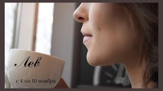 Лев, первая неделя ноября.