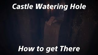 ELDEN RING How to Get to Castle Watering Hole