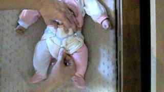 How To Fold A Prefold Diaper