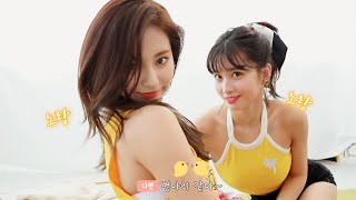 [TWICE] 병아리같은 모모 쯔위 (쯔위는 역시 개그캐)