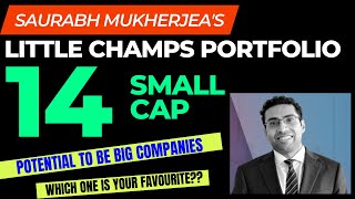 Latest Little Champs Portfolio 14 shares #saurabhmukherjea #saurabhmukherjeaportfolio