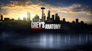 Grey's Anatomy Soundtrack: The Swell Season - In These Arms