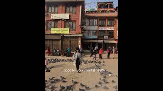 #nepal 🇳🇵#travel #my_mlou #shorts #youtubeshorts #shortvideo #ytshorts #viral #trending