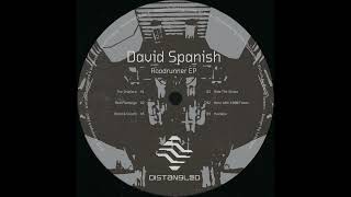 David Spanish - Red Flamingo (Distangled)