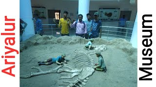 Ariyalur museum dinosaur