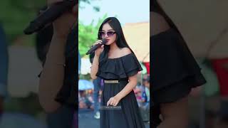 new pallapa full album terbaru 2024